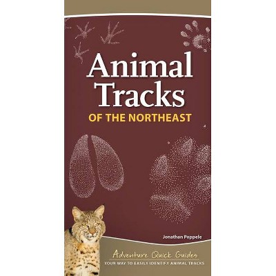 Animal Tracks of the Northeast - (Adventure Quick Guides) by  Jonathan Poppele (Spiral Bound)