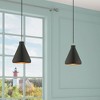 Livex Lighting Metal Shade 1 - Light Chandelier in  Black - 4 of 4