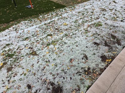 Guest review image 3 of 5, zoom in