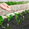 Outsunny Weed Barrier Landscape Fabric Heavy Duty, 5oz Woven Weed Control Fabric for Landscaping - 2 of 4