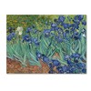 Vincent van Gogh 'Irises, 1889' Matted Framed Art - 2 of 4