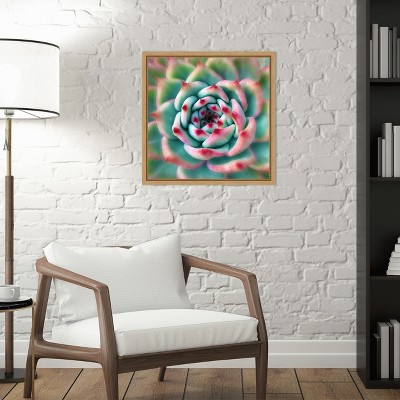 Deep Red Tips Succulent Canvas Print with Frame