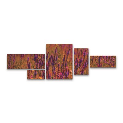 Trademark Fine Art Ali Heidari  Violets 3 Piece Panel Set Art