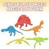 ArtCreativity 24 Piece Expanding Magic Growing Dinosaur Capsules - 4 of 4