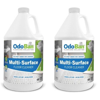 Odoban Ready-to-use Hard Surface Floor Cleaner, Streak Free And Neutral Ph  Formula, 1 Gallon : Target