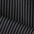 black stripe