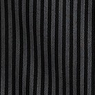 black stripe