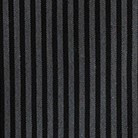 black stripe