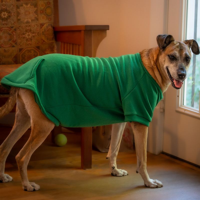 Midlee Green Dog Sweatshirt, 2 of 9
