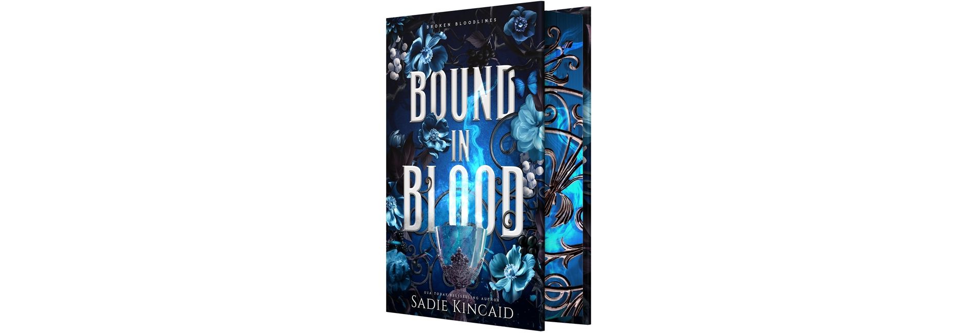 Bound in Blood - (Broken Bloodlines) by  Sadie Kincaid (Hardcover)