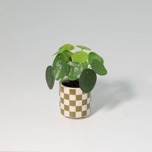 Luckygreenery Checker Planter with Faux Pilea Greenery Olive/Stucco - 1 of 3
