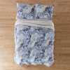 Reef Dream Quilt Set - Levtex Home - 4 of 4