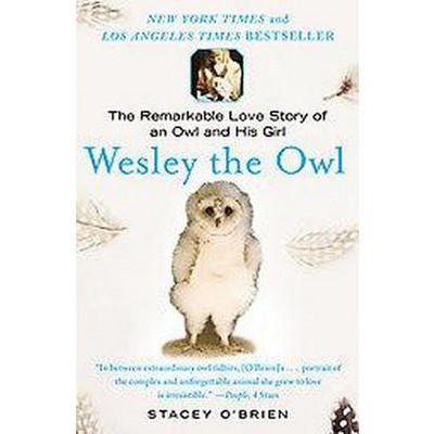 Wesley the Owl - by  Stacey O'Brien (Paperback)