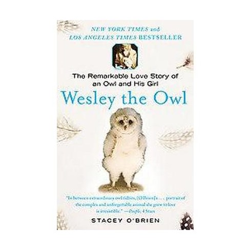 Wesley the Owl - by  Stacey O'Brien (Paperback) - image 1 of 1