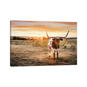 Longhorn and Yellow Sunset by Teri James Unframed Wall Canvas - iCanvas - 1 of 3
