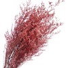 Alilang Decorative Mixed Dried Flower Bouquet for Home Decoration and Event Arrangements, 17 Inches - Red - 3 of 4