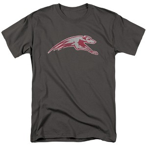 Men's University of Indianapolis Official Distressed Primary T-Shirt - 1 of 4