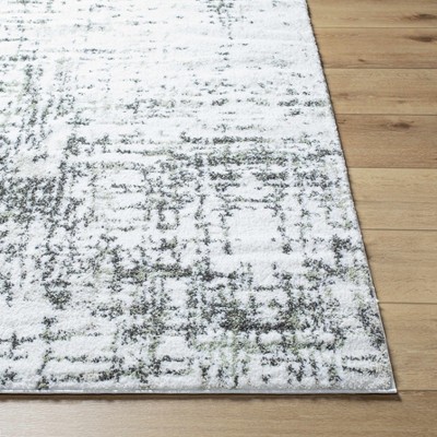 Hauteloom Kanon Sage Abstract Area Rug
