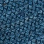 royal blue/natural