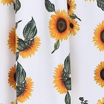 white sunflower