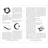 The Encyclopedia of Secret Signs and Symbols - (Mystic Encyclopedias) by  Adele Nozedar (Paperback) - 3 of 4