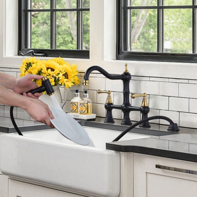 Black and Gold Double Handle Bridge Kitchen Faucet with Side Sprayer