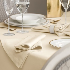 Togas Arrica Ecru Napkin - 1 of 4