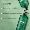 Botanic Hearth Tea Tree Shampoo for Itchy and Dry Scalp - 16 fl oz - 4 of 4