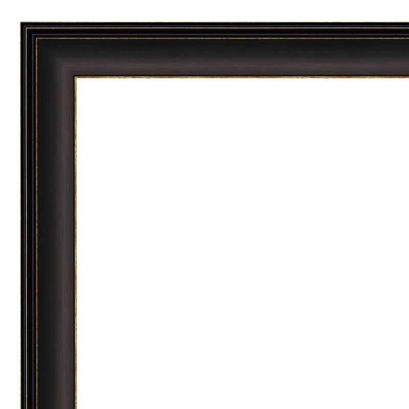 18&#34; x 52&#34; Trio Oil Rubbed Framed On the Door Mirror Bronze - Amanti Art, 4 of 11