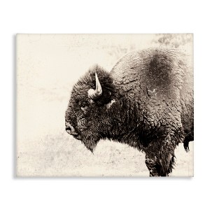 Stupell Industries Shaggy Buffalo Rustic Portrait Vintage Sepia Tone Photography Canvas Wall Art - 1 of 4