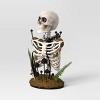 16.5" Plastic Skeleton Bust Halloween Decorative Prop - Hyde and EEK! Boutique™ - 3 of 3