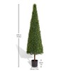 SKRAN Evergreen Outdoor Artificial Boxwood Topiary Tree Privacy Screen,Outdoor Decor,Decor Fake Tree,for Office,Patio,and Entryway. - 2 of 4