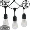 Novelty Lights 48 Feet Heavy Duty Light Strings and Sets with 15 Suspended E26 Sockets, Black Wire PVC Stringer, 36" Spacing, End-To-End Connectable - 2 of 4