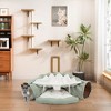 Sandinrayli Collapsible Cat Tunnel Bed - 3 of 4