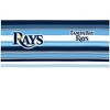 MLB Tampa Bay Rays 16oz Hype Stripes Classic Tumbler - 2 of 4