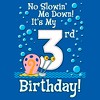 Toddler's SpongeBob SquarePants Gary No Slowin' Me Down It's my 3rd Birthday T-Shirt - 2 of 3