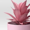 Succulent Multipack Plant Pink - Room Essentials™ - 3 of 4