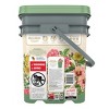 Tidy Cats Wildflower Splendor Clumping and Scented Pail Cat Litter - 35lbs - 2 of 4