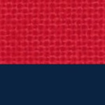 new england revolution