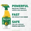 Spruce Weed and Grass Killer Trigger Spray 24oz - image 4 of 4