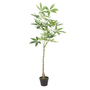 120CMARTIFICIAL PACHIRA MACROCARPA - 1 of 3