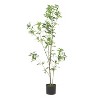 Chery Life 47.20 inch Artificial Pieris Tree for Home Decor - 2 of 4
