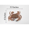Collectible Wildlife Gifts | Crab, Young, Dungeness Crab, Rubber, Crustaceans, Realistic, Hand Painted,  Figurine,  Gift,      5 1/2"       F466 B4 - 2 of 4