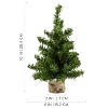 AuldHome Design Mini Christmas Trees, 3pk; Pine Tree Greenery Tabletop Holiday Decor - 3 of 4