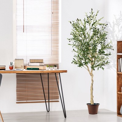 6 FT Tall Faux Olive Trees with Silk Leaves in Black Plastic Pots