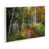 Stupell Industries Walk In The Hemlocks Forest Wall Plaque Art - 2 of 4