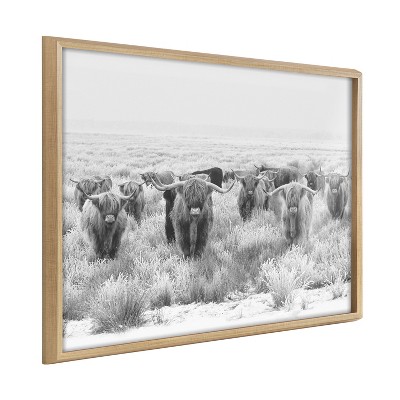 Kate And Laurel Blake Herd Of Highland Cows Framed Printed Art By The ...