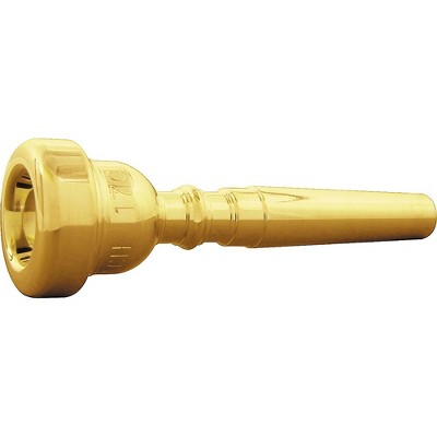 Bach Standard Series Trumpet Mouthpiece in Gold Group II Level 2 17C 194744026157