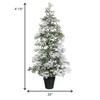 Sullivans Artificial 4'10"H Pine Flocked Tree, Green - 2 of 3