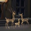 Reindeer Family Warm White Acrylic Large Reindeer Family Oblong - 3 of 4
